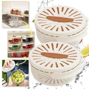 Multi-Functional Vegetable & Fruit Cleaning Basket | Folding Drainage & Storage Box | Fresh-Keeping Kitchen Filter Conta