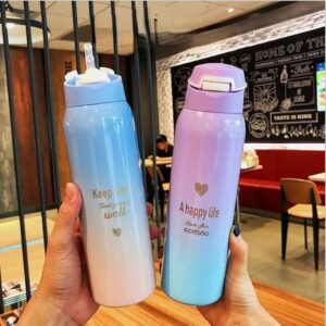 Premium Pastel Ombré Insulated Stainless Steel Water Bottle – 500ml Vacuum Flask with Leak-Proof Flip-Top Lid, Gold Insp