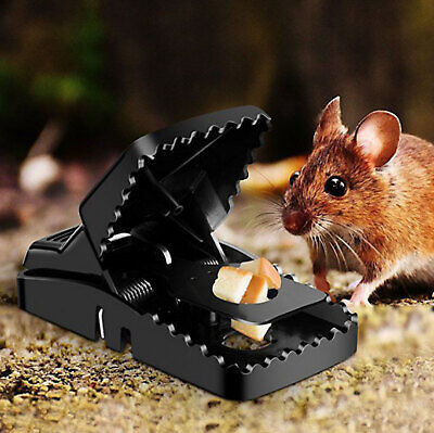 96dc823ba9b206dc9bb0a95d61f56ee1 Heavy Duty Reusable Plastic Mouse Trap – Durable & Safe Mouse Catcher for Effective Rodent Control - Image 4