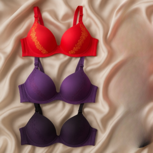 Silk Embroidered Padded Bra for Women – Luxury Undergarment with Soft Silk Fabric, Stylish Embroidery, Comfortable Fit &