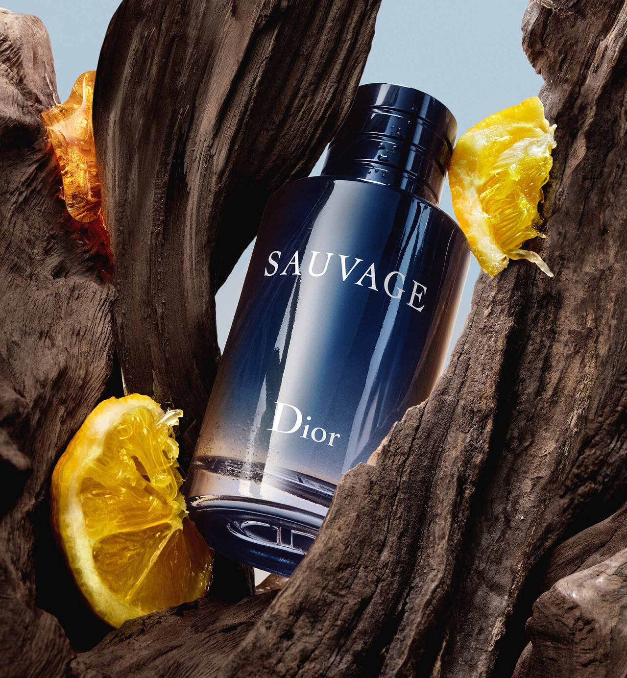 Dior Sauvage Eau de perfume | EDP | Long Lasting Fragrance 100ml | Best Quality Perfume