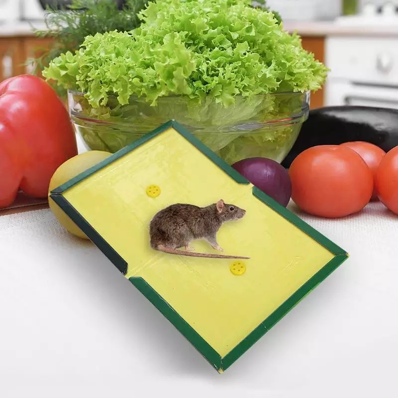 WhatsApp-Image-2023-11-15-at-1.51.02-PM-1 Reusable Expert Mouse & Rat Glue Trap – Heavy Duty, Strong Adhesive, Pre-Baited, Non-Toxic, Odorless, Child-Safe Pes - Image 3