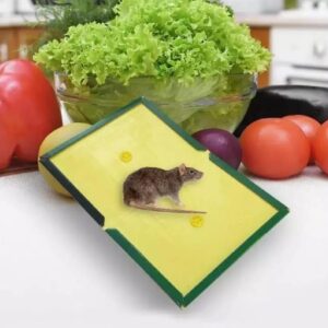 Mouse Glue Trap – Strong Adhesive Rat Glue Board & Rodent Catcher Mat ( Pack of 5 )