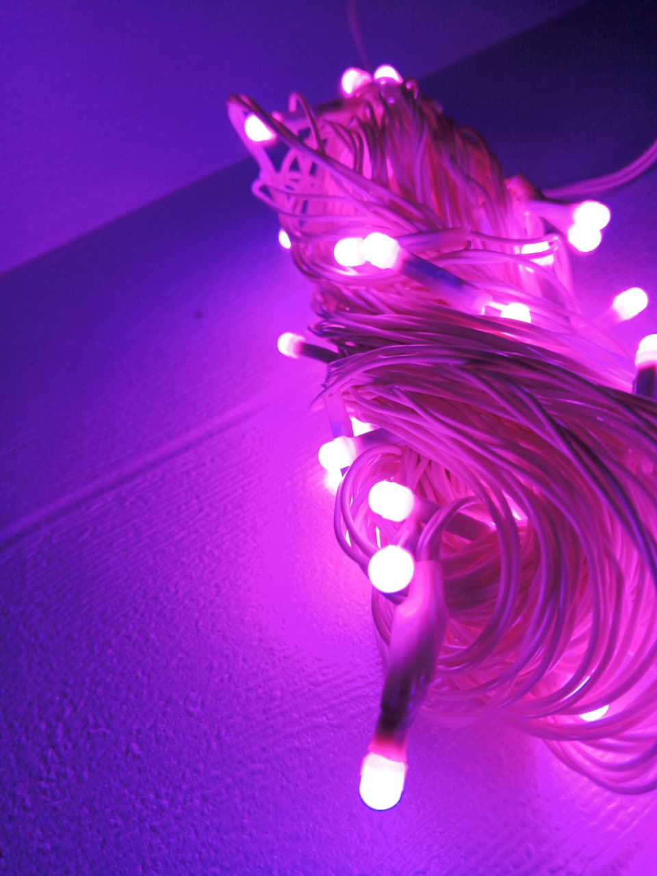 WhatsApp-Image-2025-08-19-at-4.56.11-PM Home Decorative String Light for Birthday, Festival, Festive Occasion, Christmas, Wedding, Party, Indoor Outdoor Decorat - Image 5