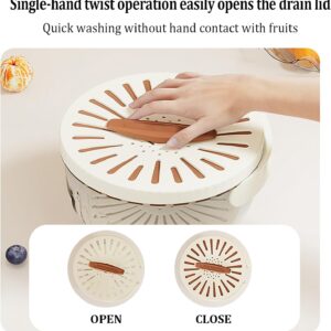 Kitchen Fruit Drainage Basket with Lid – Multi functional Dual-Layer Bowl for Washing, Draining & Storing Fruits and