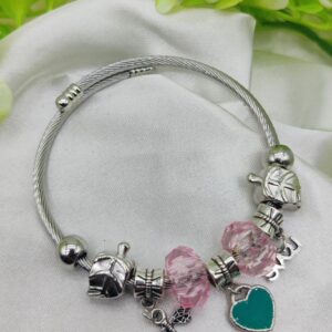 1 Piece Imported Elegant Pandora Bracelet with Heart & Love Charms  ✨ | Best Quality Bracelet For Girls & Women
