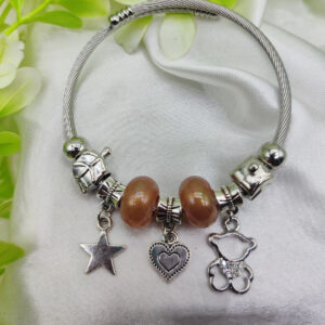 1 Piece Imported Radiant Star Charm Pandora Bracelet | Best Quality Bracelet For Girls & Women | Girls & Women J