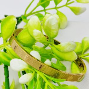 Cartier-Inspired Adjustable and Imported Gold Bangle Bracelet | Best Quality Bracelet For Girls & Women | Artificial