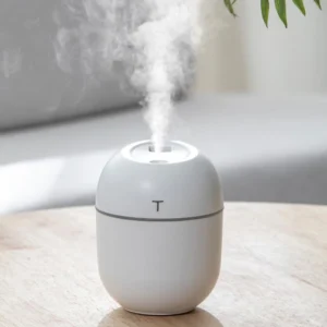 250ml Air Humidifier Usb Small mini Portable Cool Mist Diff-user For Bedroom Office Desk Car Travel Aroma Atomizer (rand