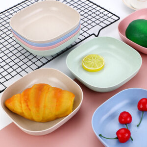 10pcs Plates Set With Holder (Random Colours)