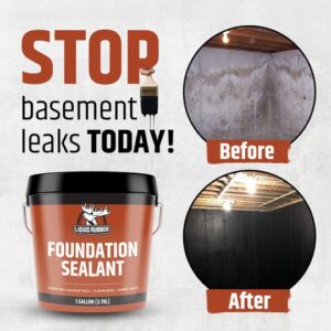 black hydra agent foundation sealant โ 300g