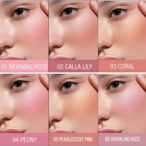 Color Castle High Pigment Liquid Blush