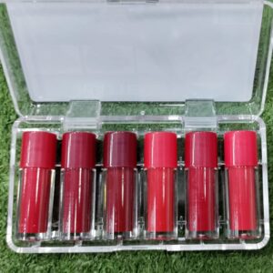 High Pigment Lipgloss, Pack of 6