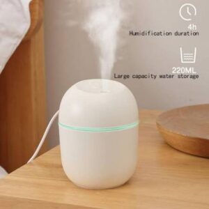Mini Cute Air Humidifier With RGB Light | Mute Humidifier For Room & Office | 220ML Water Capacity